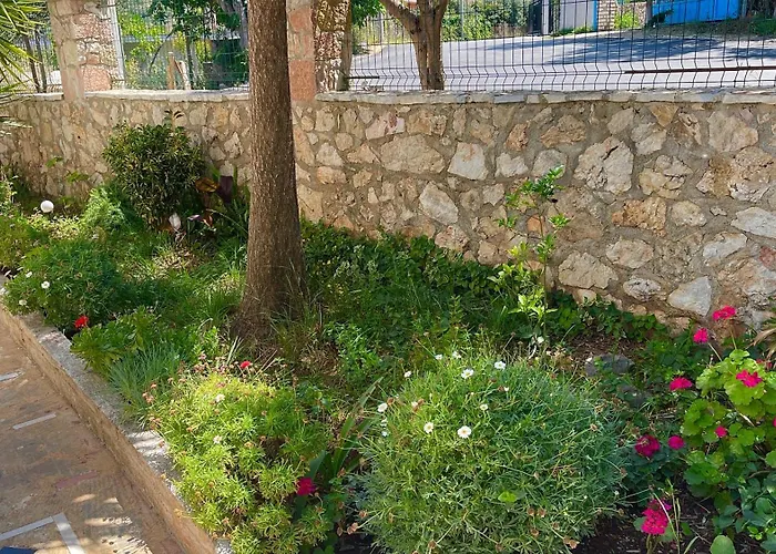 Shehu Guest house